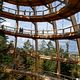 Illustration for article titled Germanys new 18-story Tree Top Walk is shaped like a giant egg